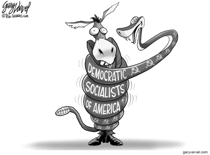 Cartoon commentary
